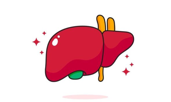 liver disease viral hepatitis