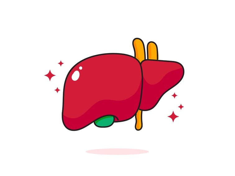 liver disease viral hepatitis